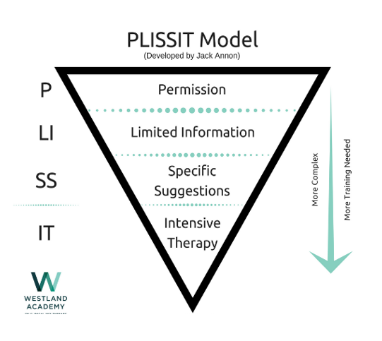 מודל PLISSIT